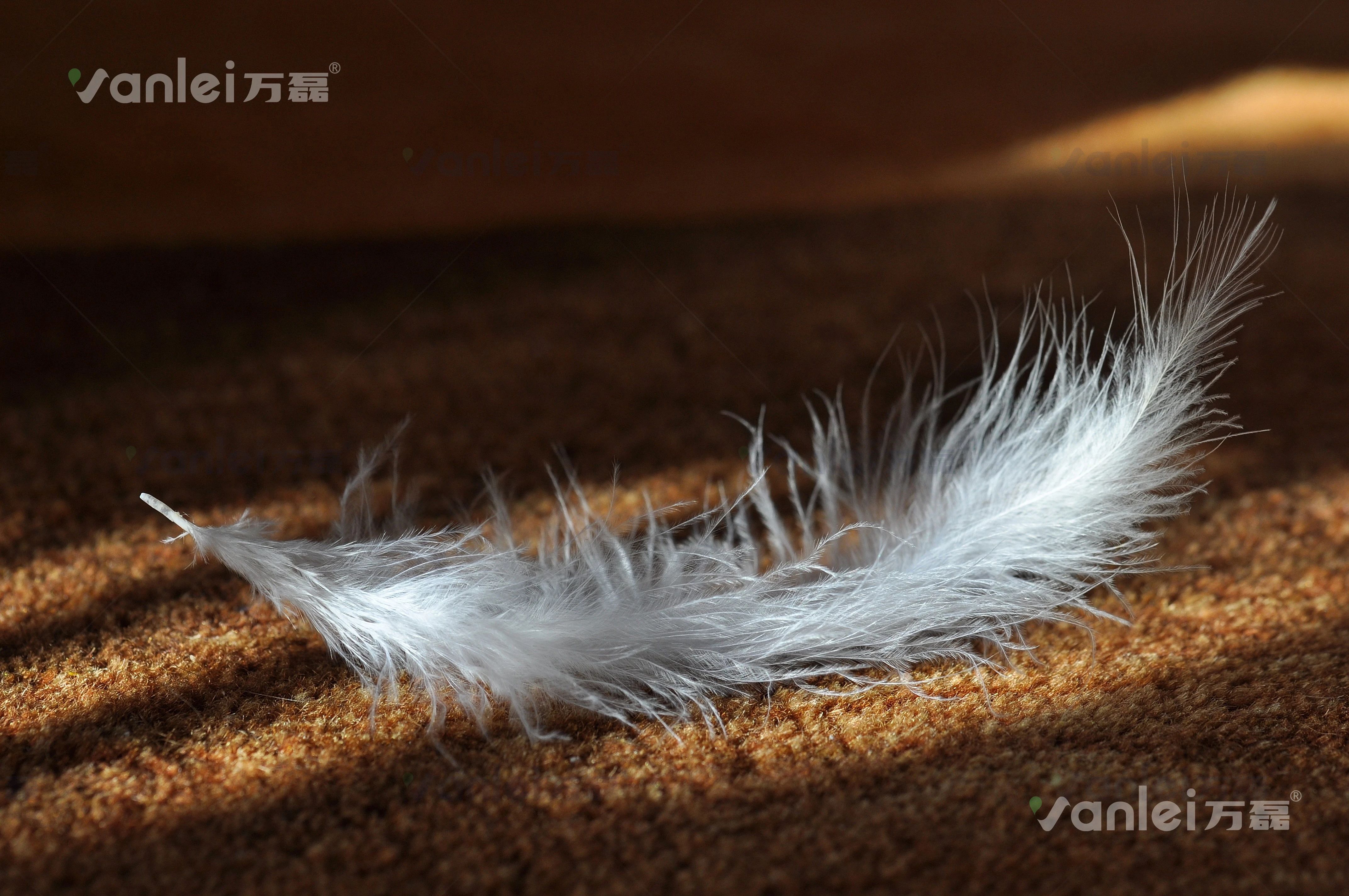 萬(wàn)磊案例賞析 | 金屬遇上絲絨，尋覓絲質(zhì)般舒適生活