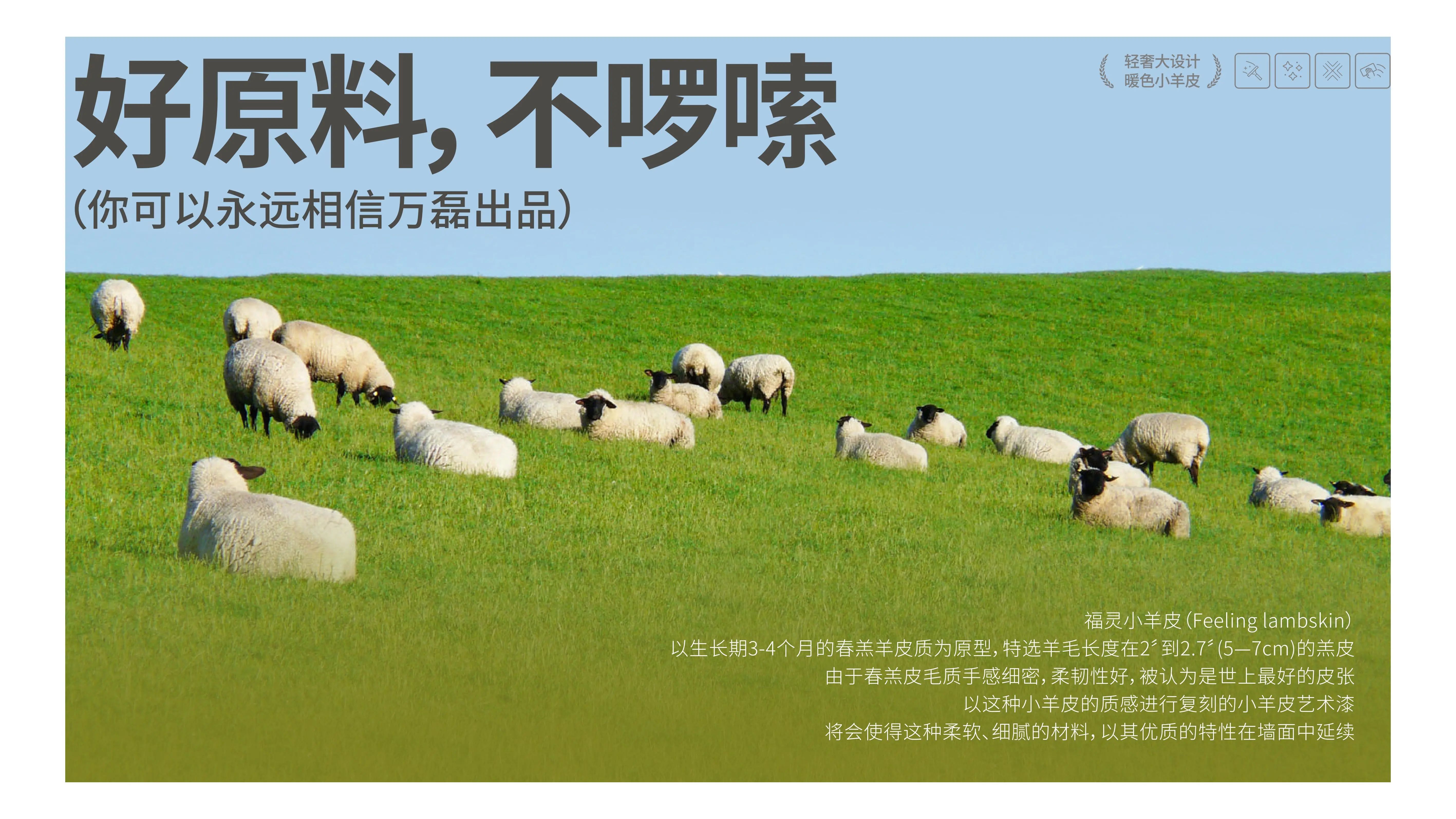 萬(wàn)磊福靈小羊皮來(lái)啦！多樣的表面質(zhì)感等您來(lái)解鎖~