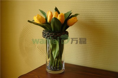 有了硅藻泥，新房入住不再等！