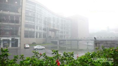 驚蟄過，春雨至，硅藻泥讓你告別濕轆轆